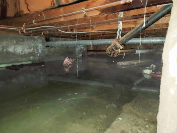 Best Emergency water damage restoration  in South Gate, CA