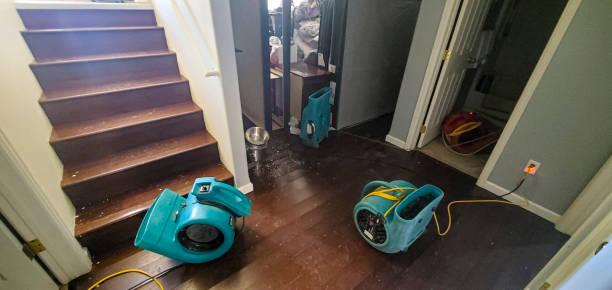 Best Ceiling water damage repair  in South Gate, CA