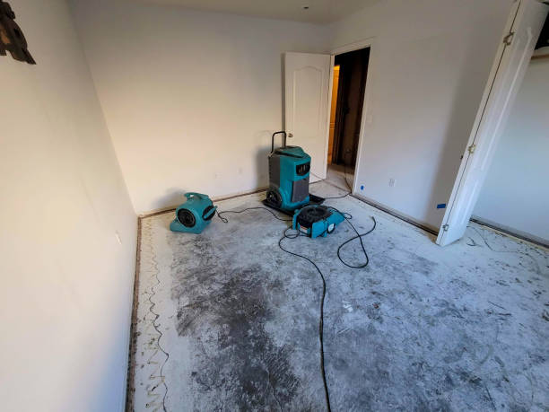 Best Emergency water damage restoration  in South Gate, CA