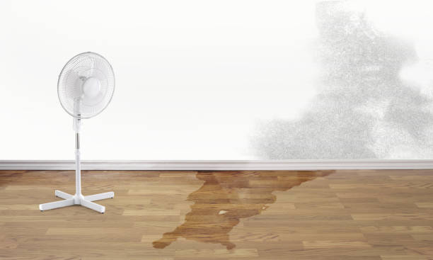  South Gate, CA Water damage restoration Pros