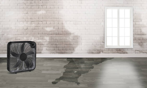 Best 24/7 water damage repair  in South Gate, CA
