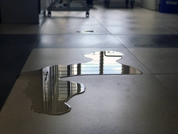 Best 24-hour water damage restoration  in South Gate, CA