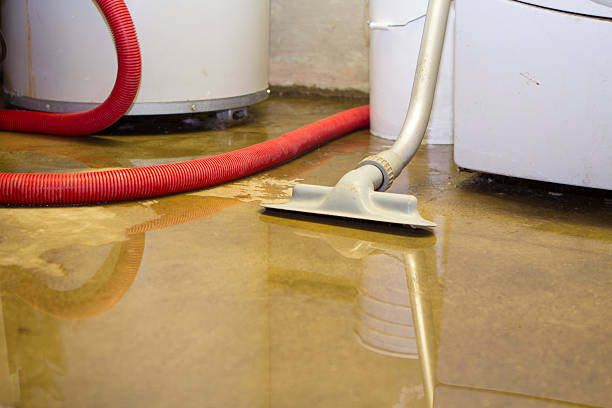 Best Mold removal after water damage  in South Gate, CA