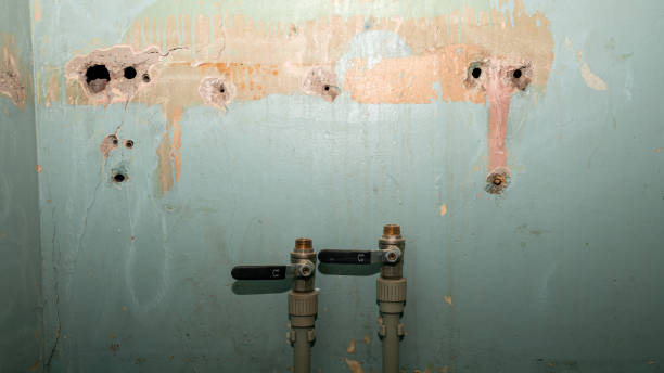 Best Flood restoration services  in South Gate, CA