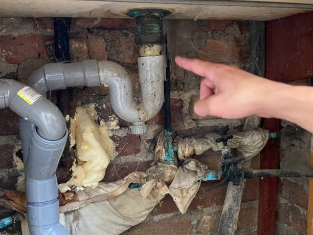 Best Commercial water damage restoration  in South Gate, CA