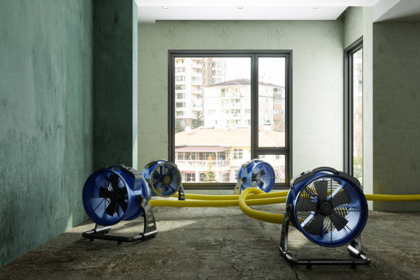 Best Flood damage cleanup  in South Gate, CA