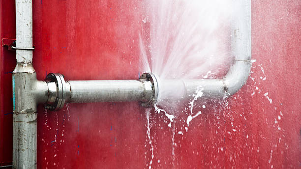 Best Carpet water damage restoration  in South Gate, CA