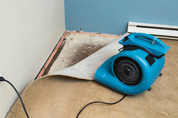 Best Professional water damage repair  in South Gate, CA